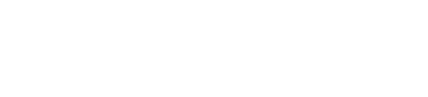 Logo bit